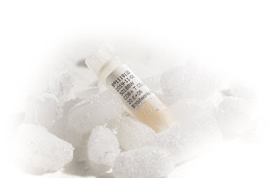 A blurred background with a blue background reflects a captivating aesthetic for showcasing research products.